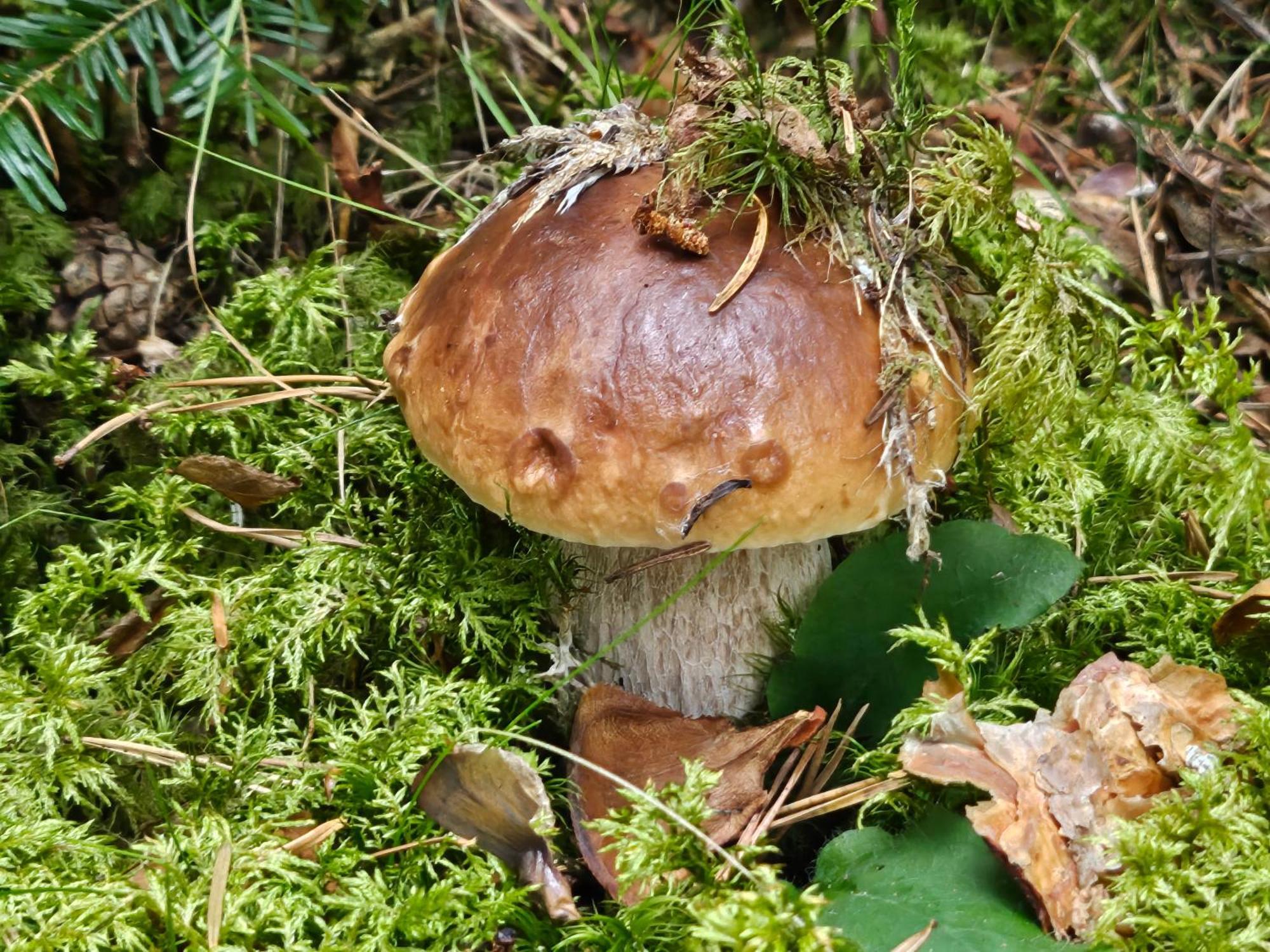 La Bourzede Lägenhet Langeac Exteriör bild